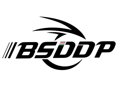 BSDDP